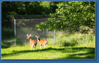 Impressionen vom Weg zum Cape Disappointment  LIghthouse im Cape Disappointment State Park, WA