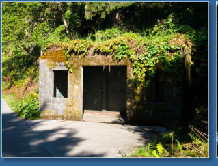 Impressionen vom Weg zum Cape Disappointment  LIghthouse im Cape Disappointment State Park, WA