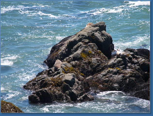 Patricks Point State Park, CA