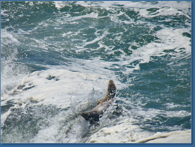 Patricks Point State Park, CA