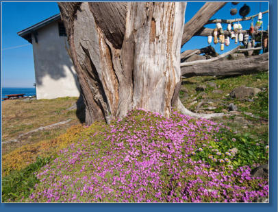 Battery Point Lighthouse, Crescent City, CA