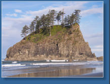 2. Beach, Olympic Peninsula, WA