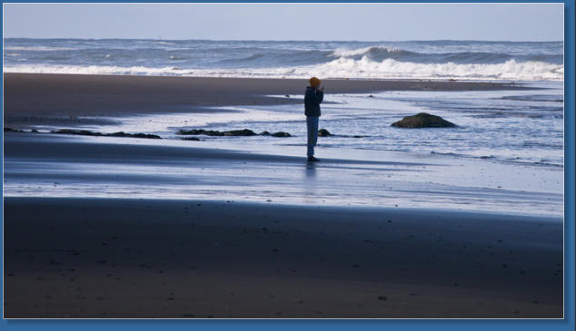 2. Beach, Olympic Peninsula, WA