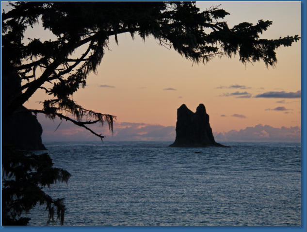 1. Beach, Olympic Peninsula, WA