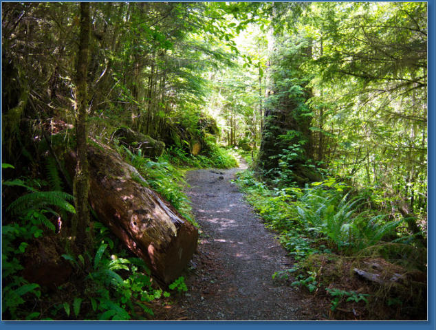 South Shore Trail, Lake Quinault, WA