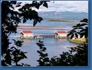 Impressionen vom Weg zum Cape Disappointment  LIghthouse im Cape Disappointment State Park, WA