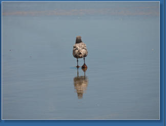 Indian Beach, Ecola SP, OR
