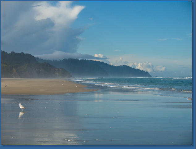 Arcadia Beach SP, OR