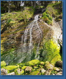 Wasserfall im Oswald West SP