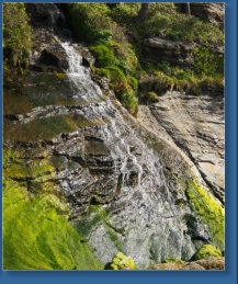 Wasserfall im Oswald West SP