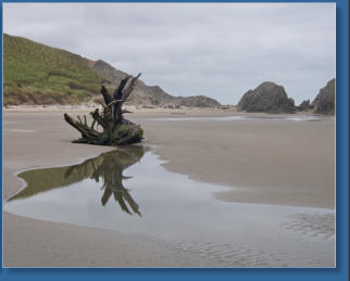 Bandon Beach, OR