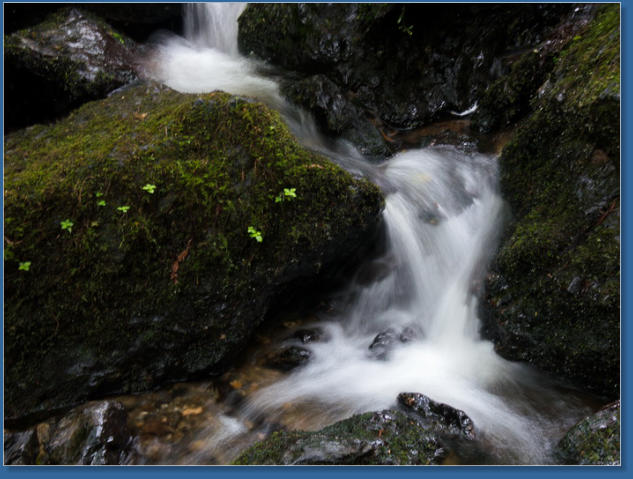 Trilium Fall Trail, Redwood NP, CA