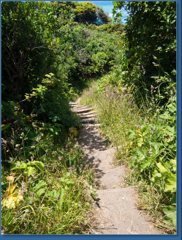 Patricks Point State Park, CA