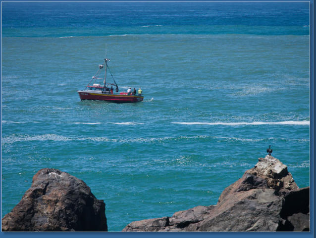 Patricks Point State Park, CA