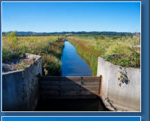 Humboldt Bay National Wildlife Refuge, CA