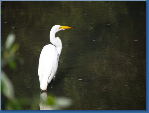 Humboldt Bay National Wildlife Refuge, CA