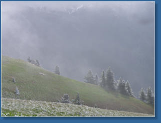 Hurrican Ridge, Olympic NP, WA