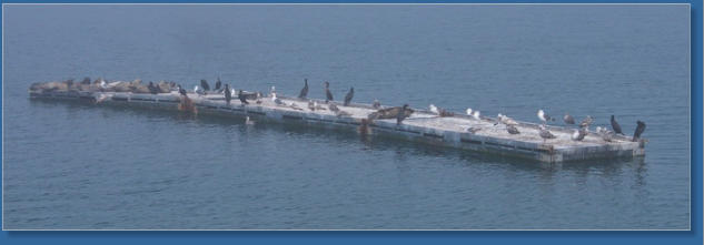 Fischereihafen von Crescent City, CA