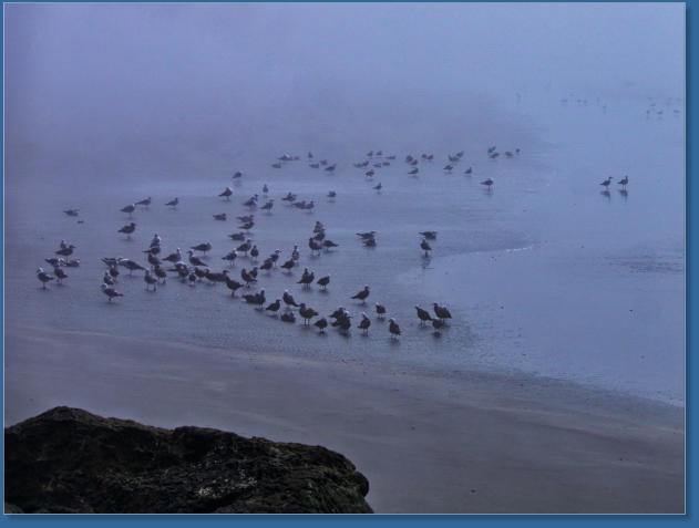 Fischereihafen von Crescent City, CA