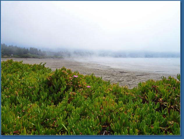 Nebelschleier entlang der Kalifornischen Küste