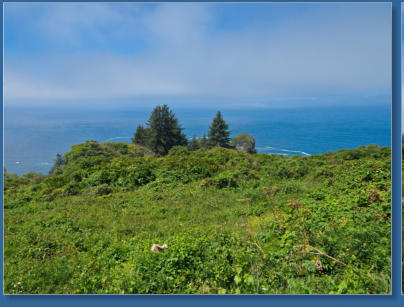 Nebelschleier entlang der Kalifornischen Küste