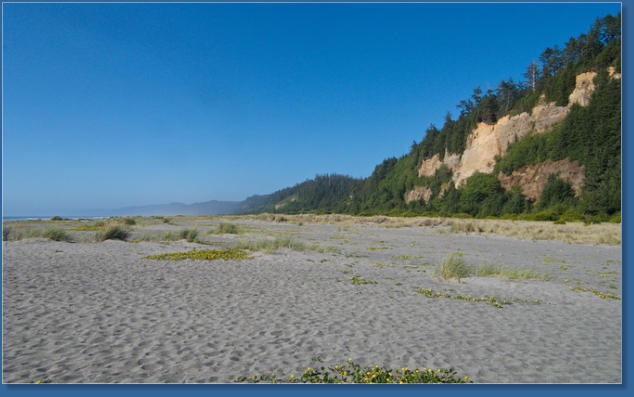 Strand am Fern Canyon Trail, Redwood NP, CA