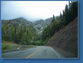 Auf dem Weg zur Hurrican Ridge, Olympic NP, WA