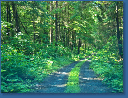 Wrong Way, Olympic NP, WA