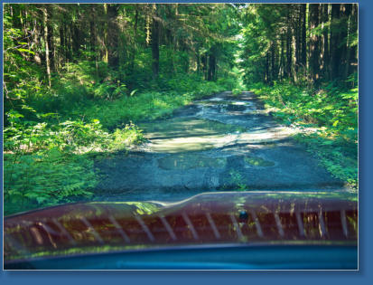 Wrong Way, Olympic NP, WA