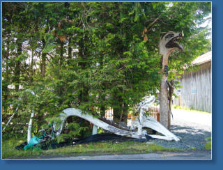 Kunst im Olympic NP, WA