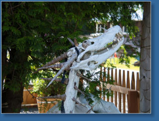 Kunst im Olympic NP, WA