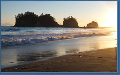 1. Beach, Olympic Peninsula, WA