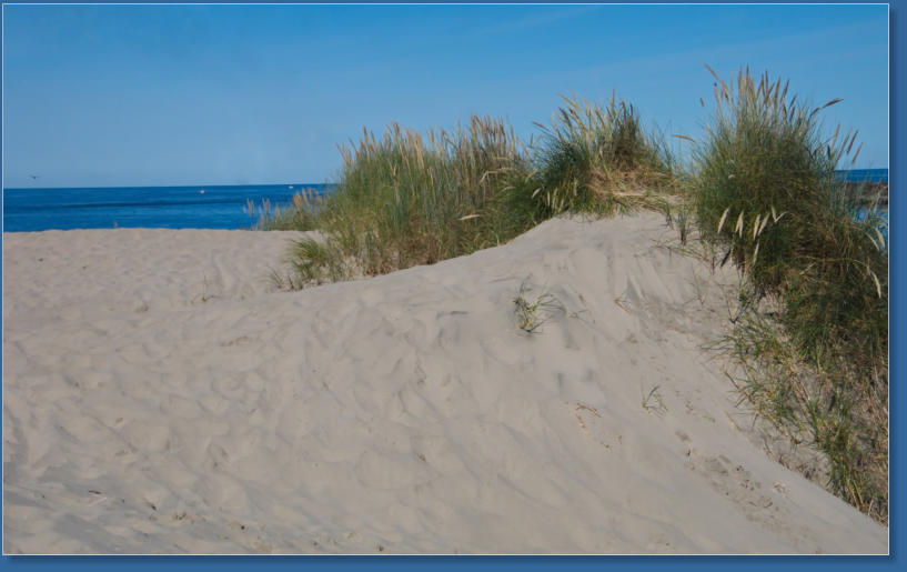 South Jetty, Newport, OR