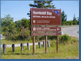 Humboldt Bay National Wildlife Refuge, CA