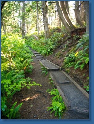 Rückweg vom 2. Beach, Olympic Peninsula, WA