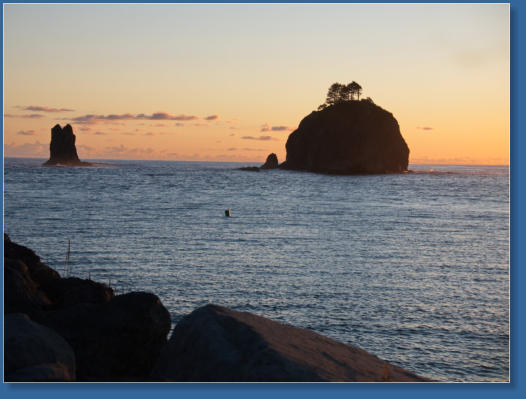 1. Beach, Olympic Peninsula, WA