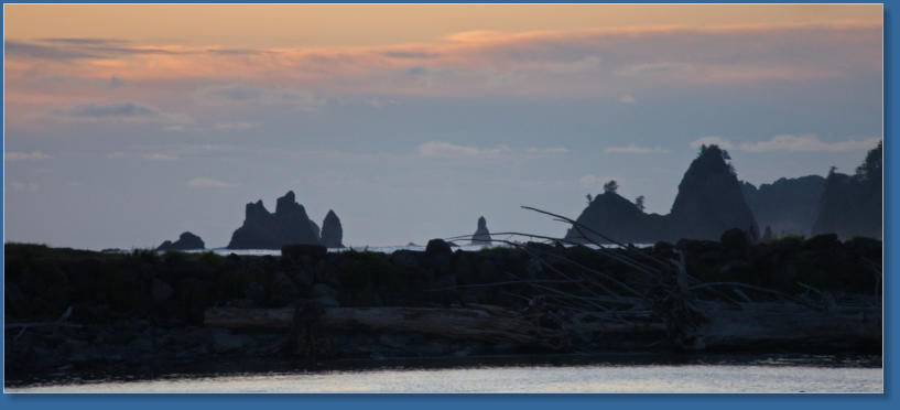 1. Beach, Olympic Peninsula, WA
