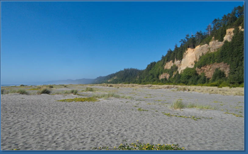 Strand am Fern Canyon Trail, Redwood NP, CA