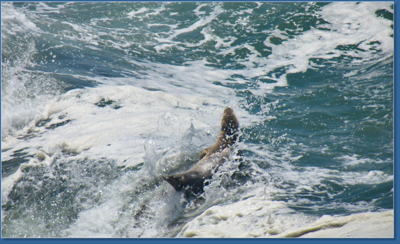 Patricks Point State Park, CA