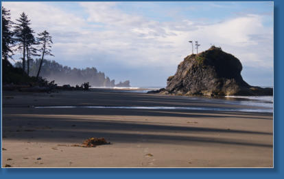 2. Beach, Olympic Peninsula, WA