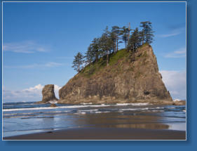 2. Beach, Olympic Peninsula, WA