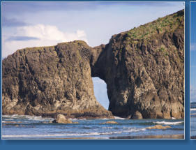 2. Beach, Olympic Peninsula, WA
