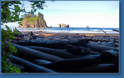 2. Beach, Olympic Peninsula, WA