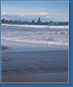 3. Beach, Olympic Peninsula, WA