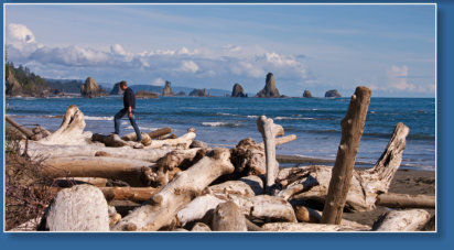 3. Beach, Olympic Peninsula, WA