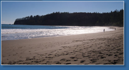 3. Beach, Olympic Peninsula, WA