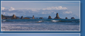3. Beach, Olympic Peninsula, WA