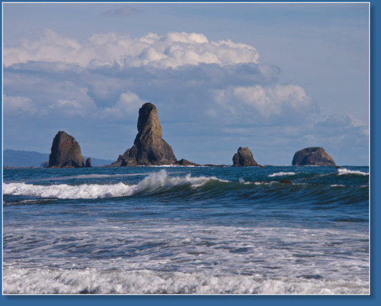 3. Beach, Olympic Peninsula, WA