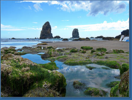 Am Haystack Rock, Cannon Beach, OR