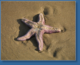 Arcadia Beach SP, OR